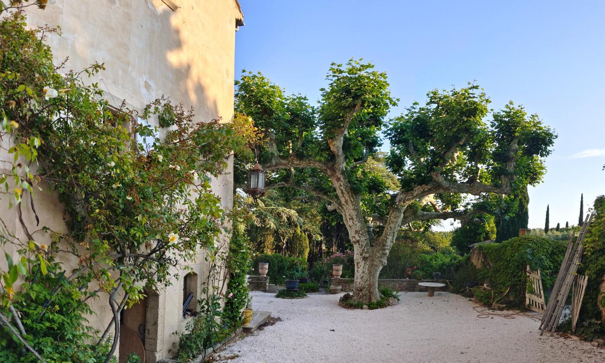 Rue Du Chateau A Cabrieres D'Avignon Bed and Breakfast Exterior foto