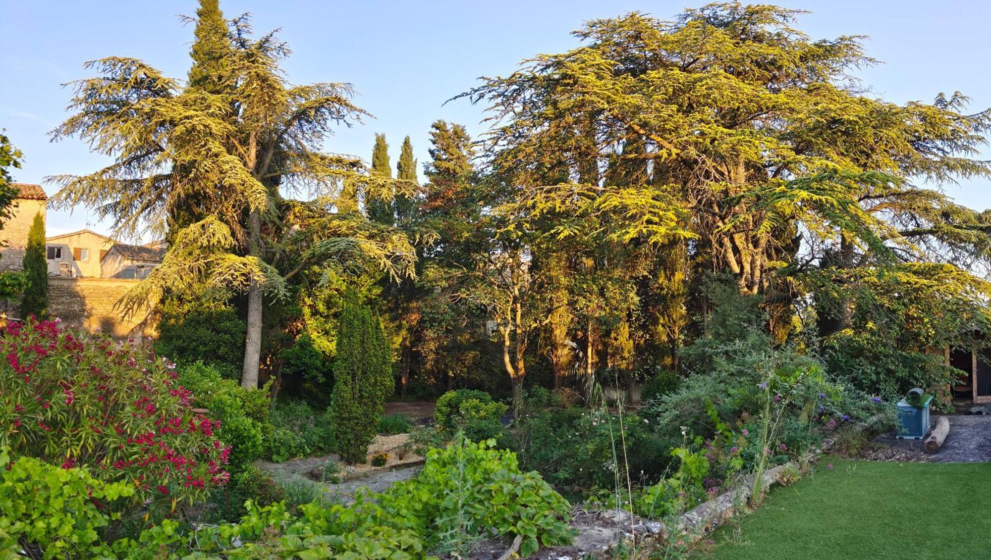 Rue Du Chateau A Cabrieres D'Avignon Bed and Breakfast Exterior foto